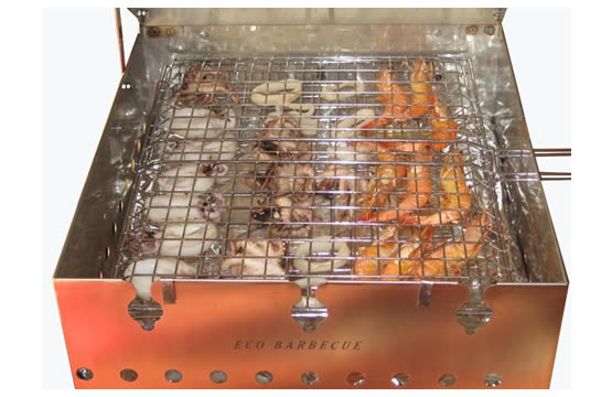Eco Barbecue